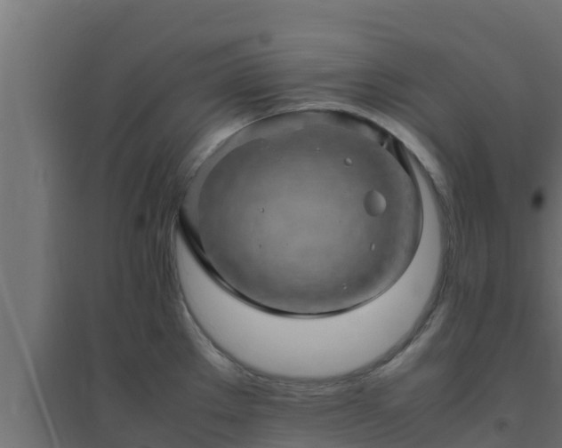 X0000094821289200711241500