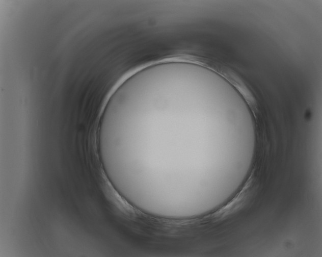 X0000094821292200711241459