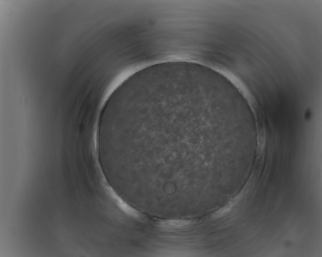 X0000094821294200711241459