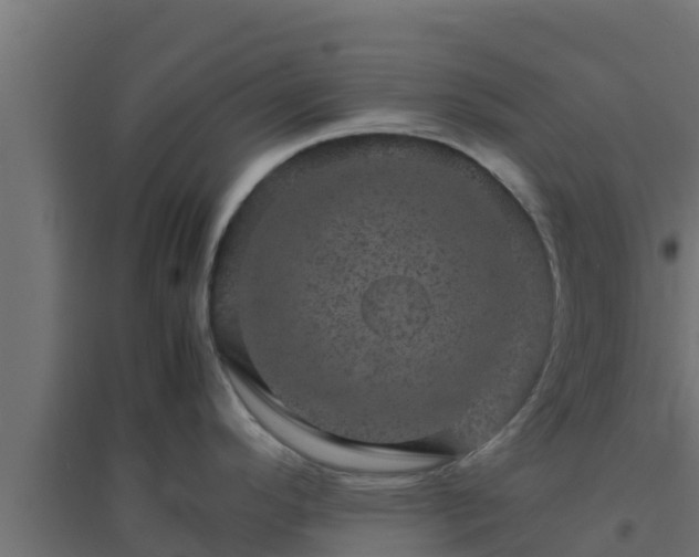 X0000094821296200711241459