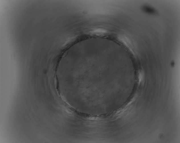 X0000094821297200711241459