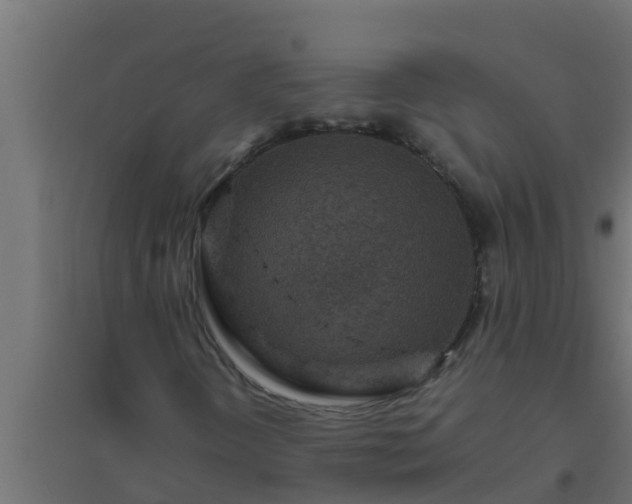 X0000094821298200711241459