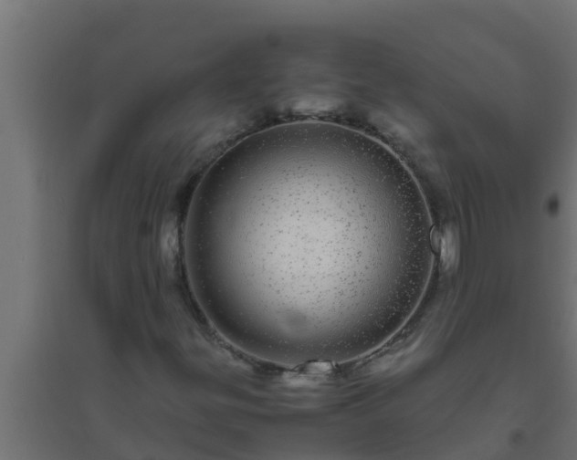 X0000094821299200711241459