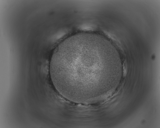 X0000094821301200711241459
