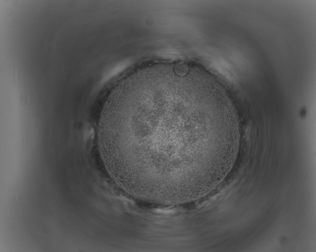 X0000094821302200711241459