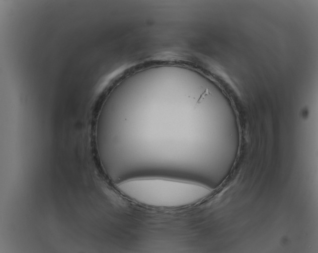 X0000094821304200711241459