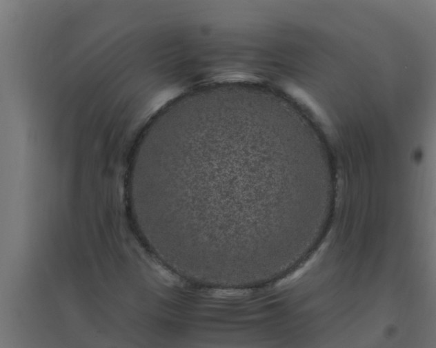 X0000094821305200711241459