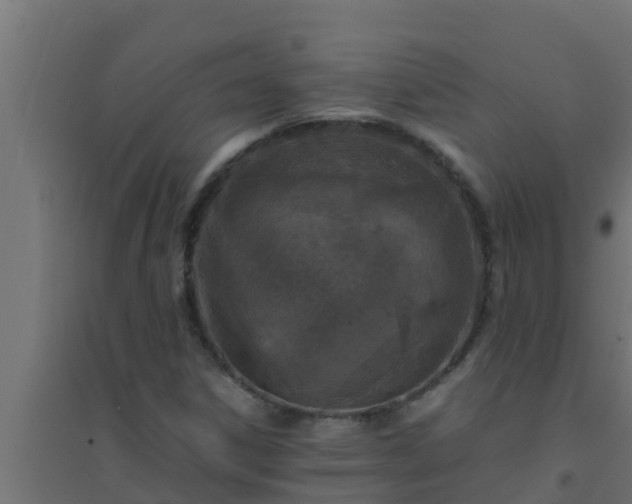 X0000094821306200711241459