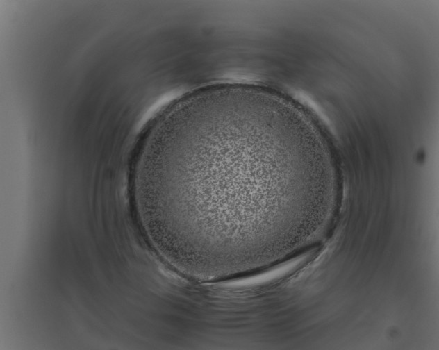 X0000094821307200711241459