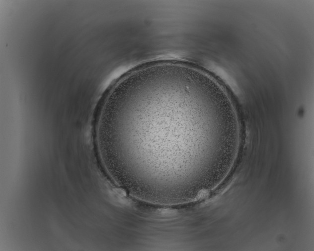X0000094821308200711241459