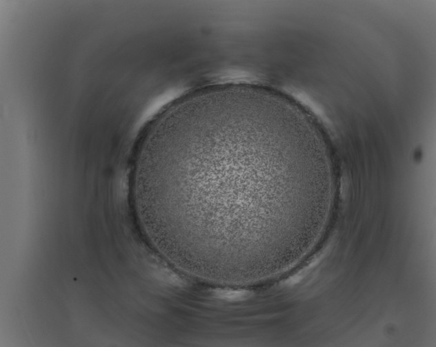 X0000094821309200711241459
