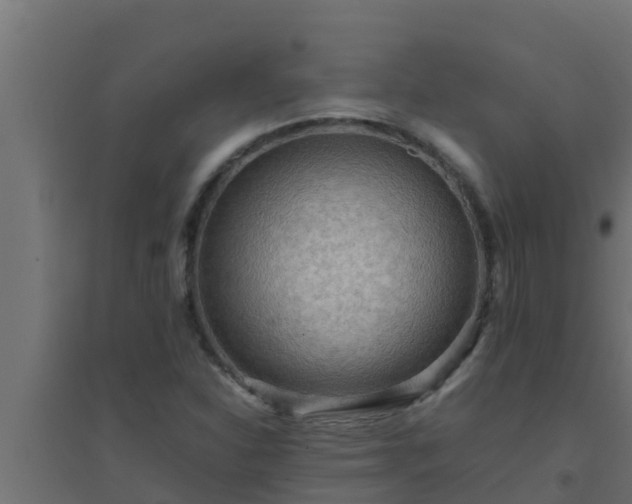 X0000094821310200711241459