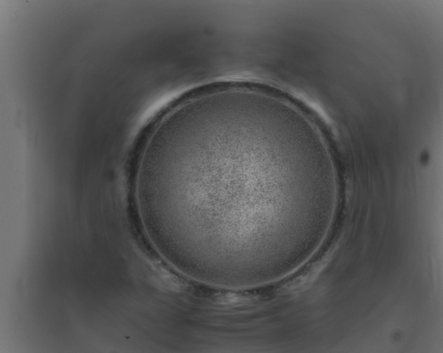 X0000094821311200711241459