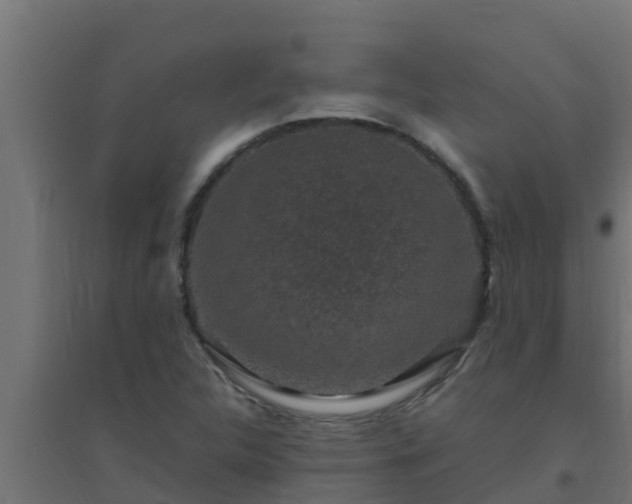 X0000094821312200711241459