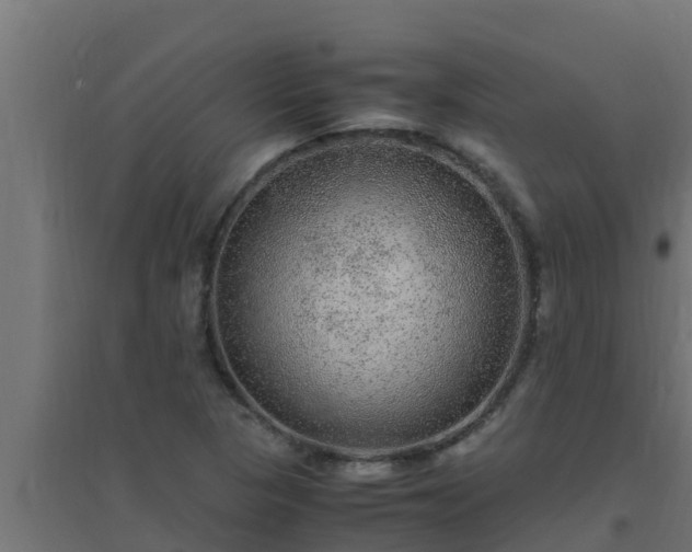 X0000094821313200711241459