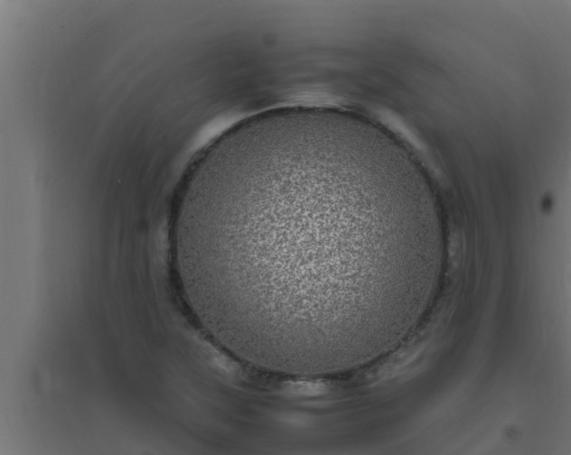 X0000094821315200711241459