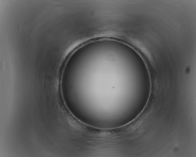 X0000094821316200711241459
