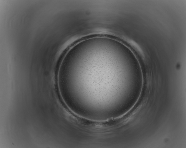 X0000094821318200711241459