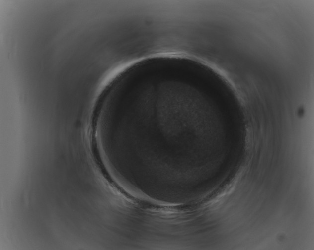 X0000094821319200711241459