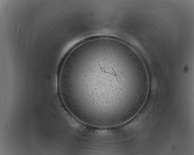 X0000094821320200711241459