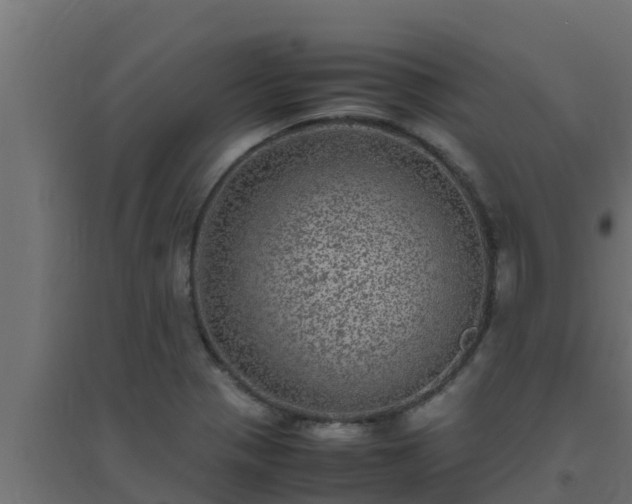 X0000094821321200711241459