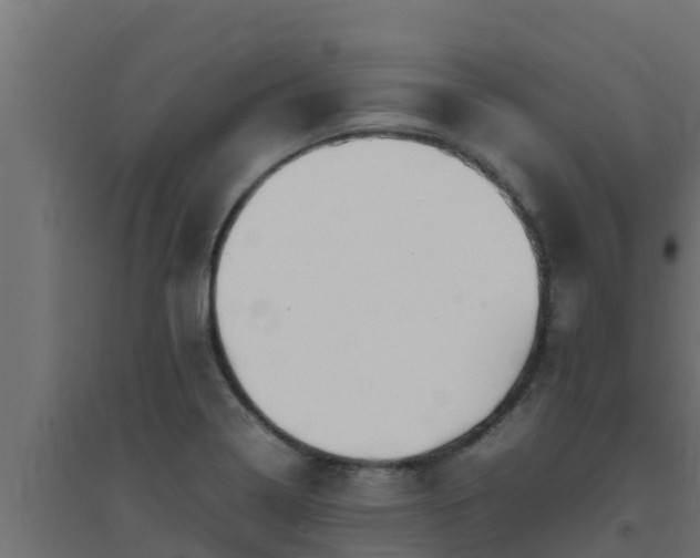 X0000094821322200711241459