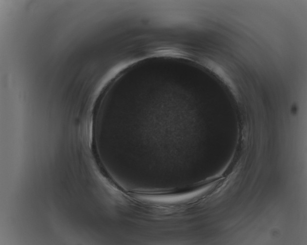 X0000094821323200711241459