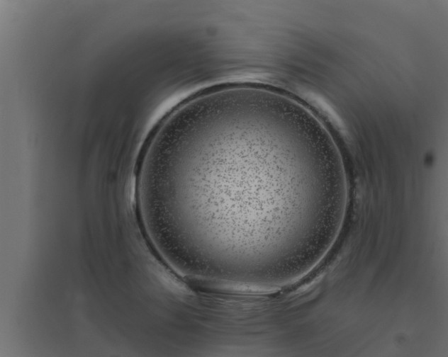 X0000094821324200711241459