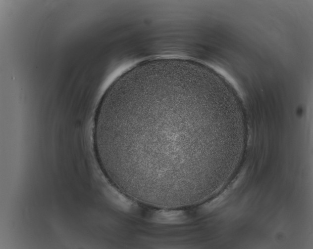 X0000094821325200711241459