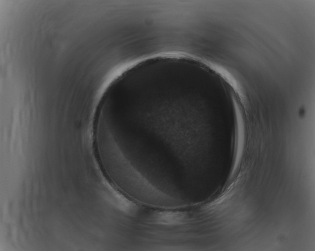 X0000094821327200711241459