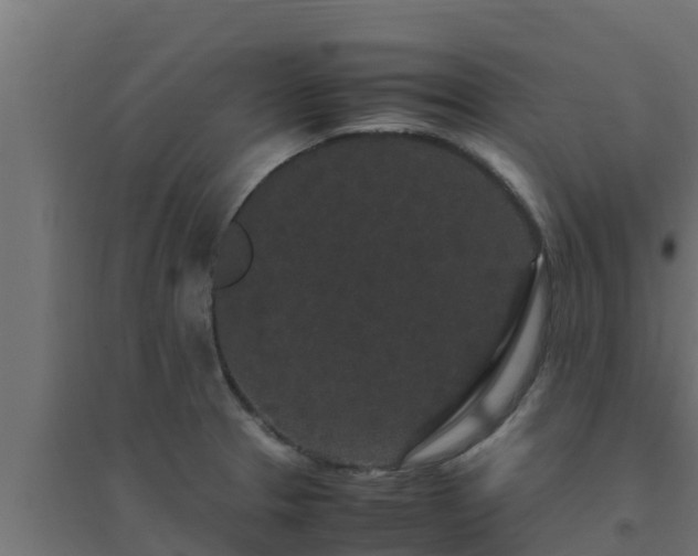 X0000094821329200711241459