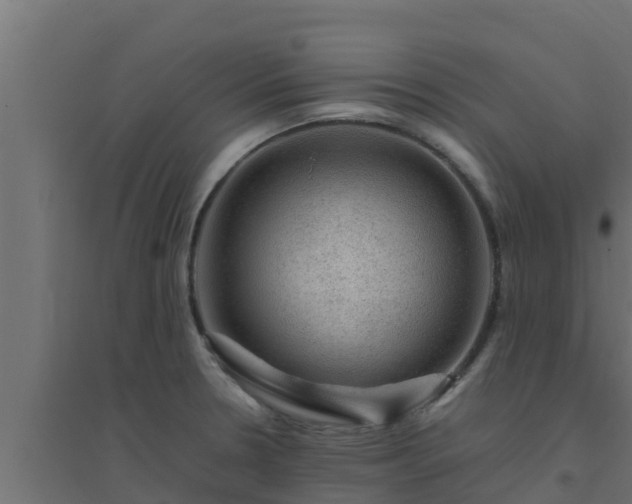X0000094821330200711241459