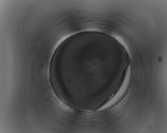 X0000094821331200711241459