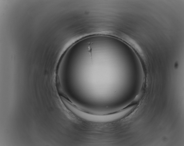 X0000094821332200711241459