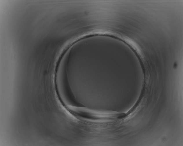 X0000094821334200711241459