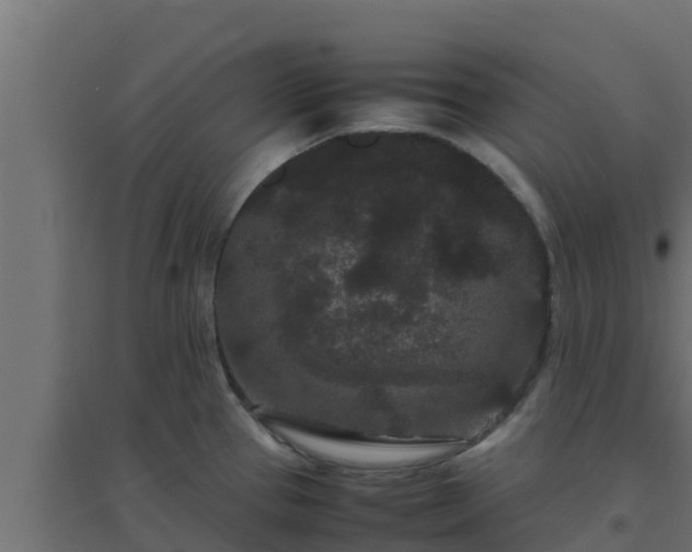 X0000094821337200711241459