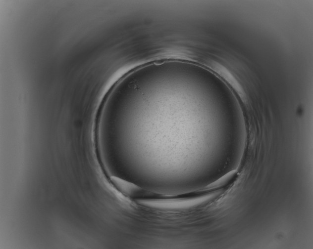 X0000094821339200711241459