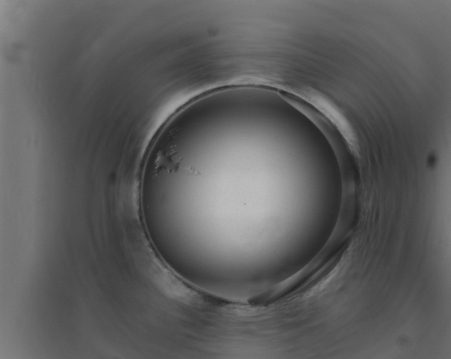 X0000094821340200711241459