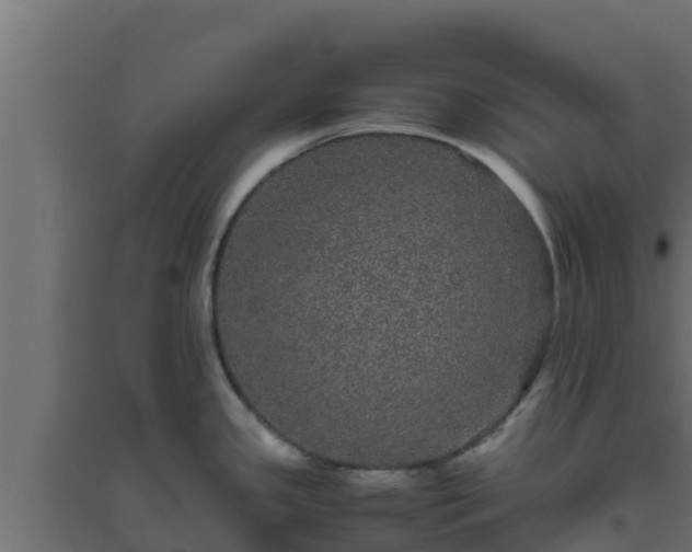 X0000094821341200711241459