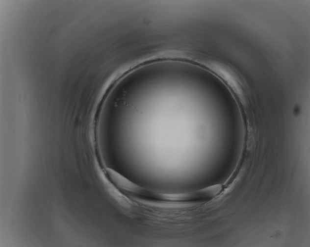 X0000094821342200711241459