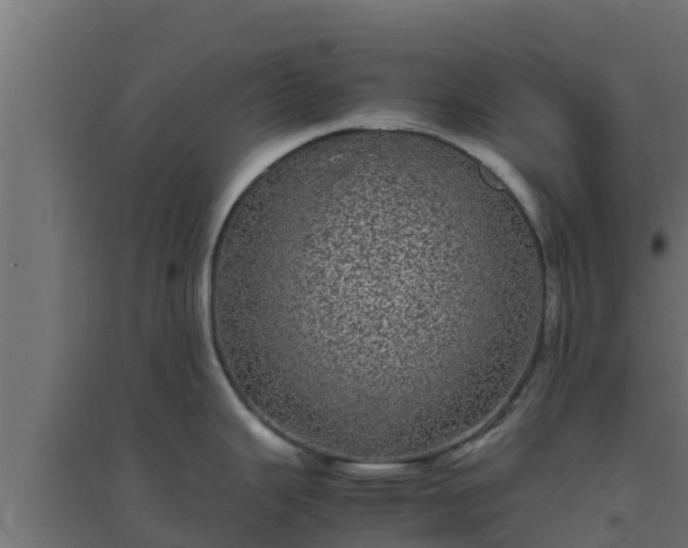 X0000094821343200711241459