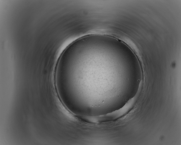 X0000094821344200711241459