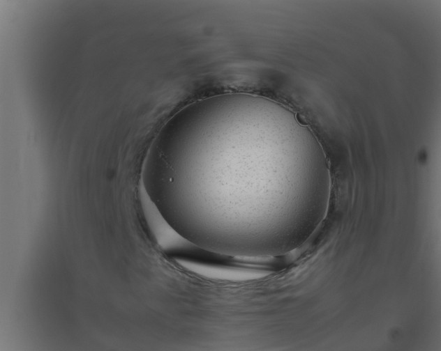 X0000094821345200711241459