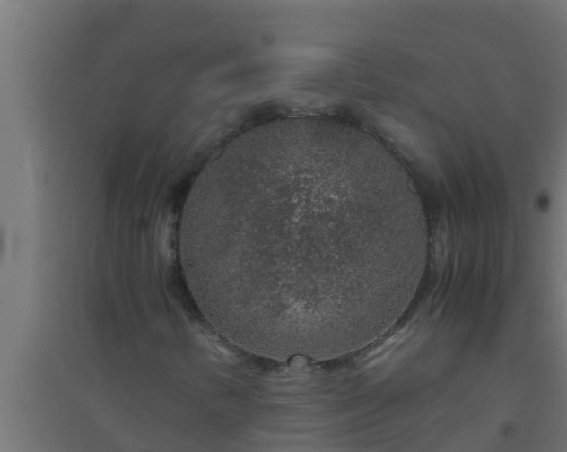 X0000094821346200711241459