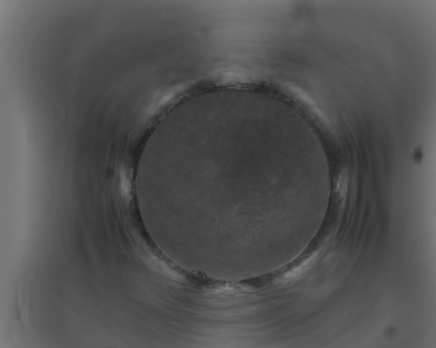 X0000094821348200711241459