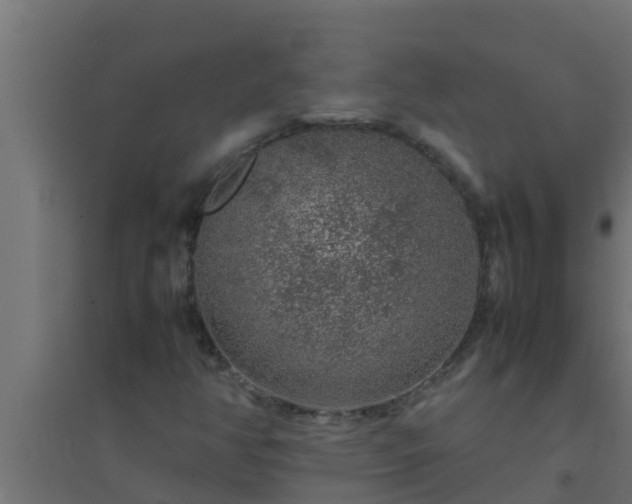 X0000094821350200711241459