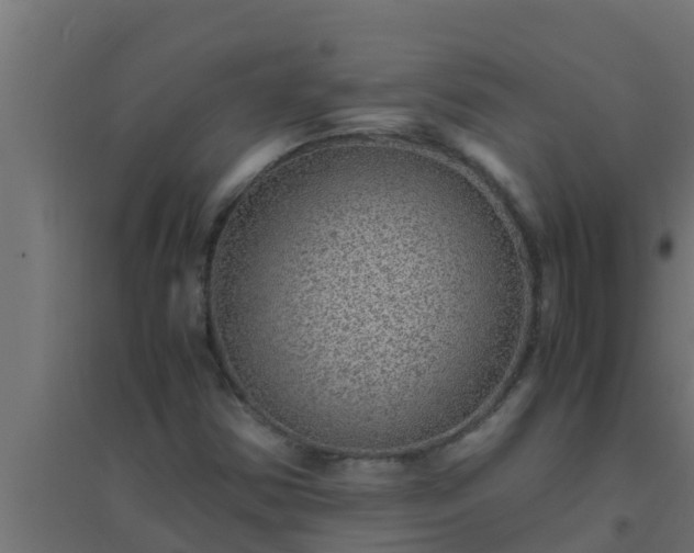 X0000094821354200711241459