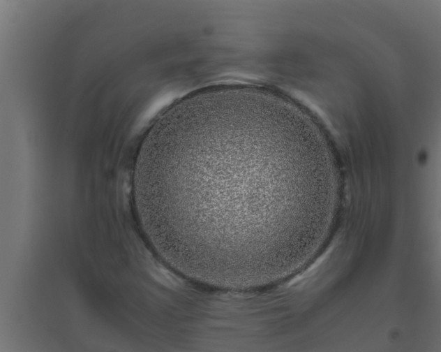 X0000094821355200711241459