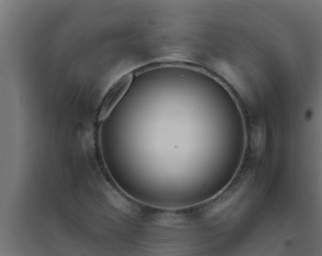 X0000094821356200711241459
