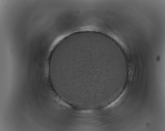 X0000094821358200711241459